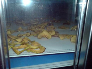 Bild zu Bandtrockner  CLIMAT