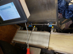 Bild zu Bandwaage  OPTIMA