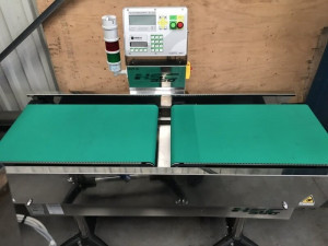 Bild zu Bandwaage  NEMESIS