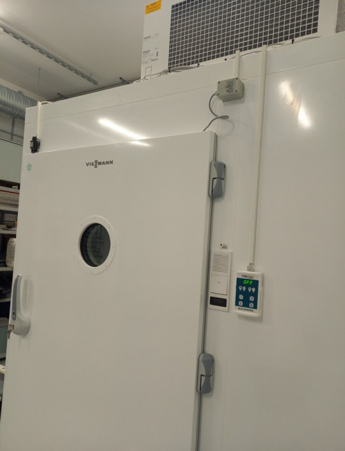 42494: K&uuml;hlzelle  VIESSMANN