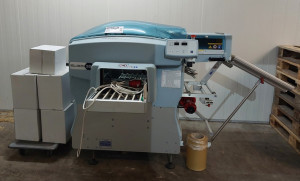 Schalen-Trays Stretchfolien/Skinpack Verpackungsmaschine  FABBRIGROUP